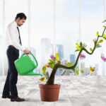 Business Loans That Support Sustainable Growth